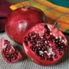 Punica Favorite™ Pomegranate -Park Seed® Shop 48534