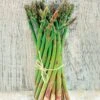 Asparagus Jersey Supreme Hybrid 1 Asparagus Jersey Supreme Hybrid -Park Seed® Shop 50409 pk 20