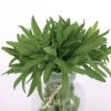 Mexican Organic Tarragon Seeds -Park Seed® Shop 51816 pk p1