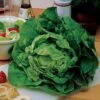 Buttercrunch Lettuce Seed Tape