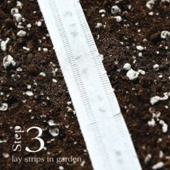 Buttercrunch Lettuce Seed Tape 9 Buttercrunch Lettuce Seed Tape -Park Seed® Shop 52108 3