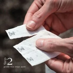 Damast Bunching Onion Seed Tape -Park Seed® Shop 52127 2