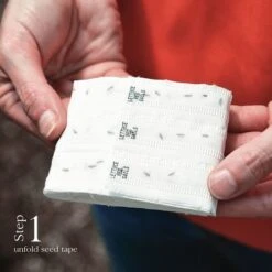 Rainbow Mix Beet Seed Tape -Park Seed® Shop 52135 3