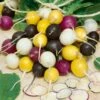 Halloween Blend Radish Seeds 2 Halloween Blend Radish Seeds -Park Seed® Shop 52419 pk p1