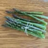 UC-157 Asparagus Seeds -Park Seed® Shop 52458 PK P1