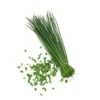 ProEasy Chives Seeds -Park Seed® Shop 52481 PK P1