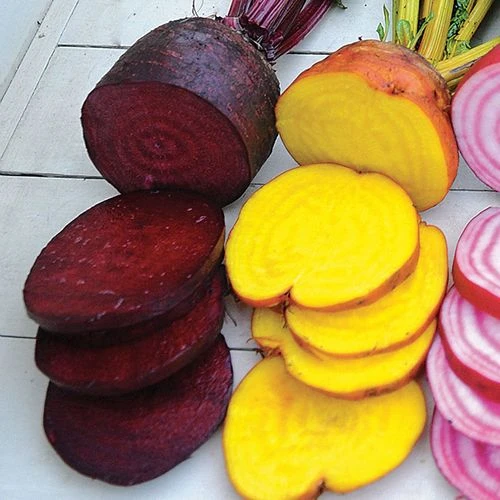 Rainbow Mix Beet Seeds (P) Pkt Of 200 Seeds 4 Rainbow Mix Beet Seeds (P) Pkt Of 200 Seeds - Image 2