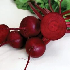 Robin Hybrid Beet Seeds