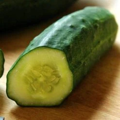 Patio Snacker Cucumber Seeds 8 Patio Snacker Cucumber Seeds -Park Seed® Shop 52511 2