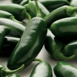 La Bomba II Jalapeño Pepper Seeds