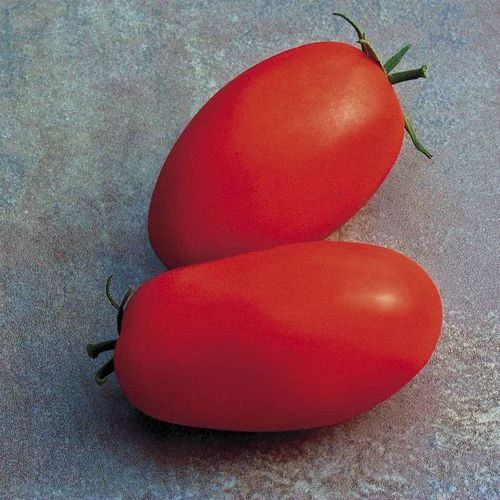 Supremo Hybrid Tomato Seeds (P) Pkt Of 10 Seeds 4 Supremo Hybrid Tomato Seeds (P) Pkt Of 10 Seeds - Image 2