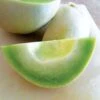 Dulce Nectar Melon Honeydew Seeds 1 Dulce Nectar Melon Honeydew Seeds -Park Seed® Shop 52555