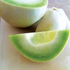 Dulce Nectar Melon Honeydew Seeds (P) Pkt Of 25 Seeds