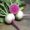 Starburst Hybrid Radish Seeds 2 Starburst Hybrid Radish Seeds -Park Seed® Shop 52643 pk p1