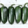 Emerald Fire Hybrid Pepper Seeds -Park Seed® Shop 52656 PK 100