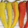 Sweet Sunset Hybrid Pepper Seeds (P) Pkt Of 15 Seeds 1 Sweet Sunset Hybrid Pepper Seeds (P) Pkt Of 15 Seeds -Park Seed® Shop 52659 pk p1