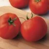 Big Yummy Hybrid Tomato Seeds -Park Seed® Shop 52662