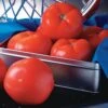 Rocky Top Tomato Seeds -Park Seed® Shop 52678 PK 100