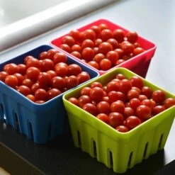 Candyland Red Hybrid Tomato Seeds -Park Seed® Shop 52696 PK P1 2