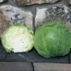 Katarina Hybrid Cabbage Seeds (P) Pkt Of 50 Seeds -Park Seed® Shop 52707 pk p1