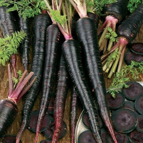 Black Nebula Heirloom Carrot Seeds 3 Black Nebula Heirloom Carrot Seeds