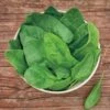 Baby Leaf Riverside Spinach Seeds (P) Pkt Of 200 Seeds -Park Seed® Shop 52725 pk p1