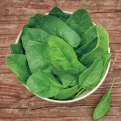 Baby Leaf Riverside Spinach Seeds (P) Pkt Of 200 Seeds