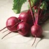 Merlin Hybrid Beet Seeds -Park Seed® Shop 52726 pk p1