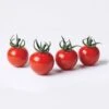 Braveheart Hybrid Cherry Tomato Seeds 2 Braveheart Hybrid Cherry Tomato Seeds -Park Seed® Shop 52727 pk p1