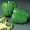 Encore Hybrid Pepper Seeds -Park Seed® Shop 52771 PK 100