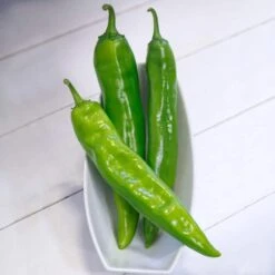 Desperado Hybrid Pepper Seeds -Park Seed® Shop 52814 PK P1 2