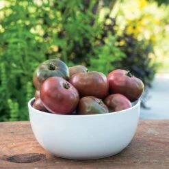 Purple Boy Hybrid Tomato Seeds (P) Pkt Of 10 Seeds -Park Seed® Shop 52823 PK P1 4