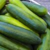 Paraiso Organic Cucumber Seeds -Park Seed® Shop 52859 PK P1