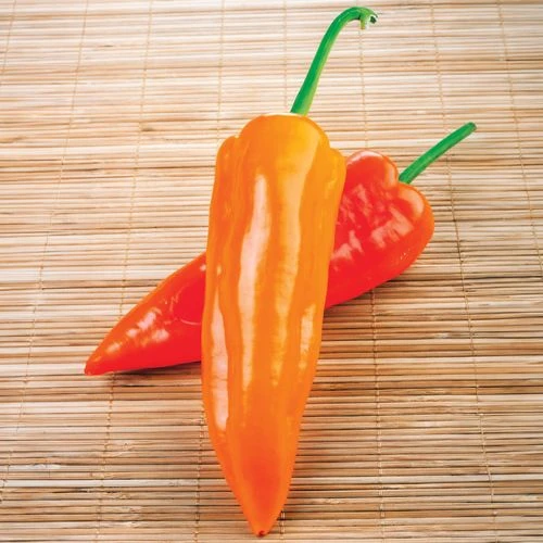 Oranos Organic Pepper Seeds 3 Oranos Organic Pepper Seeds