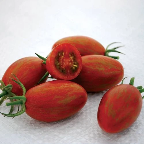 Bronze Torch F1 Grape Tomato Seeds (P) Pkt Of 10 Seeds 3 Bronze Torch F1 Grape Tomato Seeds (P) Pkt Of 10 Seeds