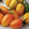 Artisan - Blush Organic Hybrid Cherry Tomato Seeds