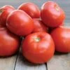 Jamestown Tomato Seeds 1 Jamestown Tomato Seeds -Park Seed® Shop 52882 PK P1