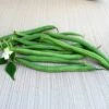 Derby Green Organic Bush Bean Seeds -Park Seed® Shop 52897 PK P1
