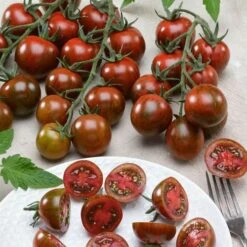 Gum Drop Black F1 Hybrid Cherry Tomato Seeds