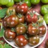 Gum Drop Brown F1 Hybrid Cherry Tomato Seeds 1 Gum Drop Brown F1 Hybrid Cherry Tomato Seeds -Park Seed® Shop 52921 PK P1