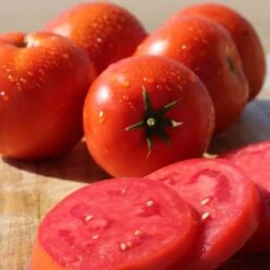 Big Beef Plus Tomato Seeds (P) Pkt Of 30 Seeds