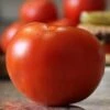 Celebrity Plus Hybrid Tomato Seeds -Park Seed® Shop 52933