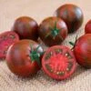Purple Zebra Tomato Seeds -Park Seed® Shop 52935 PK P1