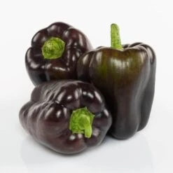 Dragonfly F1 Pepper Seeds