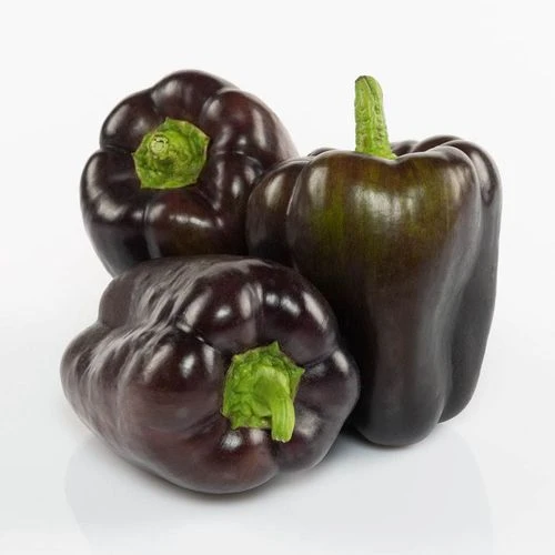 Dragonfly F1 Pepper Seeds 3 Dragonfly F1 Pepper Seeds