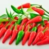 Buffy F1 Pepper Seeds 2 Buffy F1 Pepper Seeds -Park Seed® Shop 52939 PK P1
