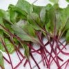 Bull's Blood Heirloom Beet Seeds
