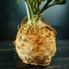 'Mars' Organic Celeriac Seeds 1 'Mars' Organic Celeriac Seeds -Park Seed® Shop 52955 PK P1