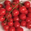 Park's Junior Whopper Red Hybrid Tomato Seeds 1 Park's Junior Whopper Red Hybrid Tomato Seeds -Park Seed® Shop 52988 PK P1