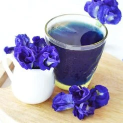 Blue Butterfly Pea Seeds 7 Blue Butterfly Pea Seeds -Park Seed® Shop 54028 PK P1 2